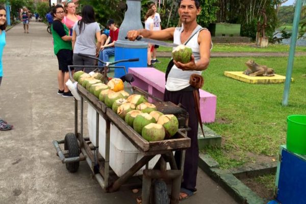 coconut cart