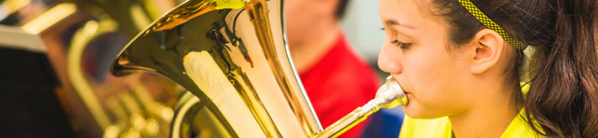 baritone banner