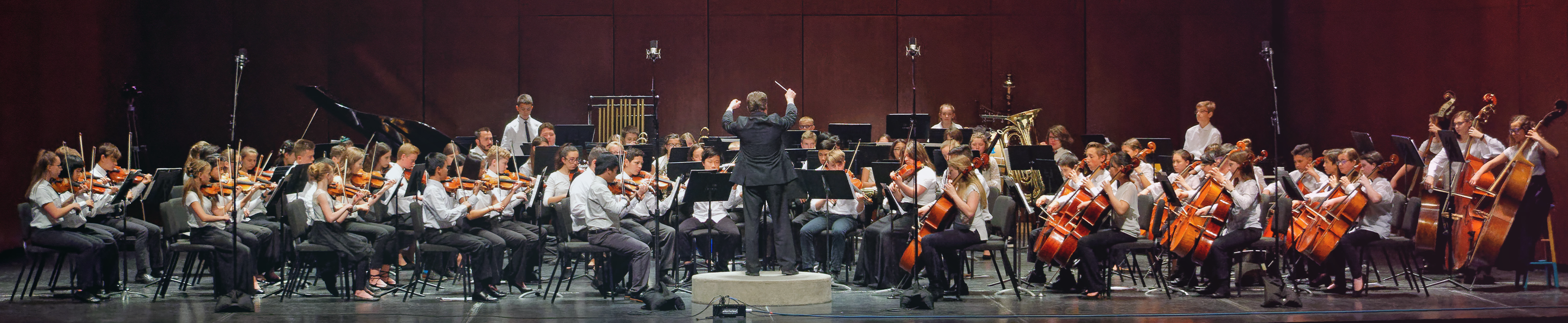 full orchestra performing banner image