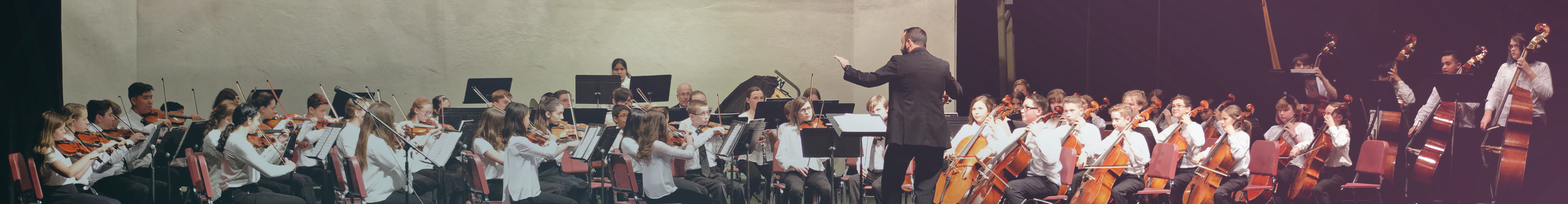 orchestra performing banner image