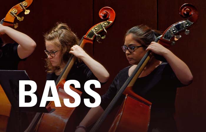 Double Bass High School Audition Excerpts