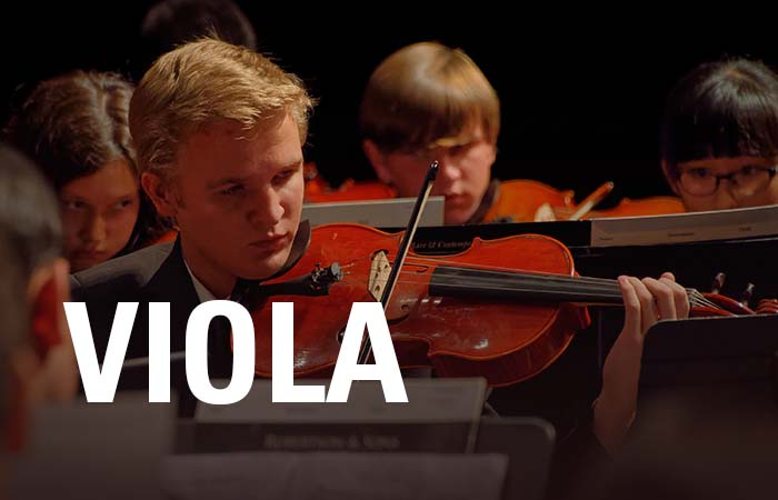 Viola High School Audition Excerpts